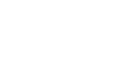 السيدة الأولى