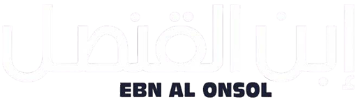 Ebn El Qonsol Promo